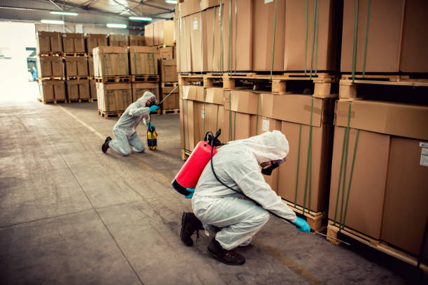 Best Pest Control for Restaurants  in Albion, MI