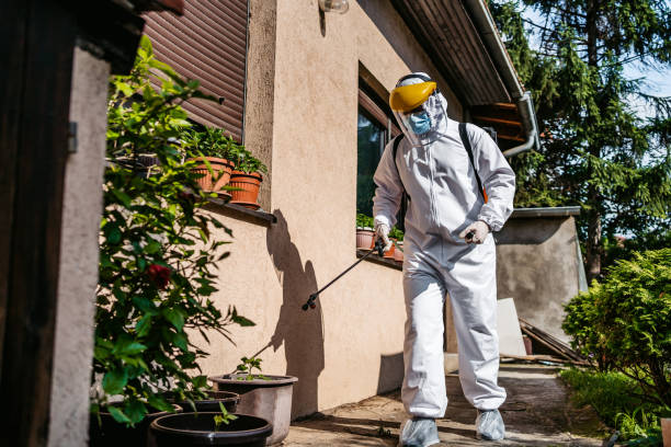 Best Pest Removal Services  in Albion, MI