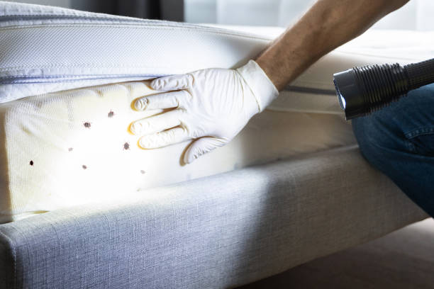 Best Pest Inspection Near Me  in Albion, MI
