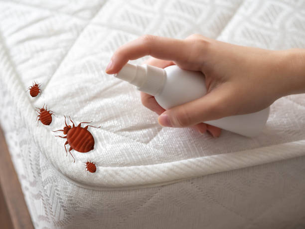 Best Flea Control Services  in Albion, MI