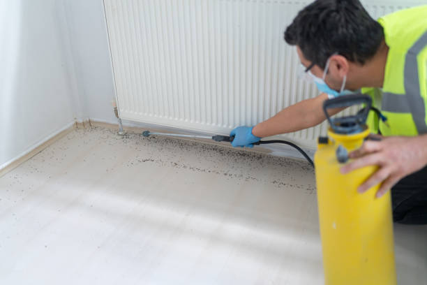 Best Pest Control for Homes  in Albion, MI